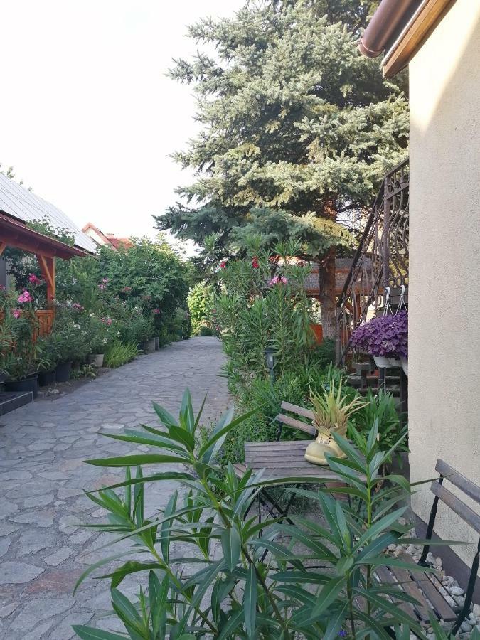 Szentesi Panzio Bed & Breakfast Fertőrákos Dış mekan fotoğraf