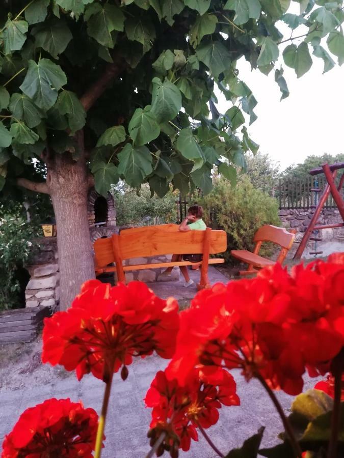 Szentesi Panzio Bed & Breakfast Fertőrákos Dış mekan fotoğraf
