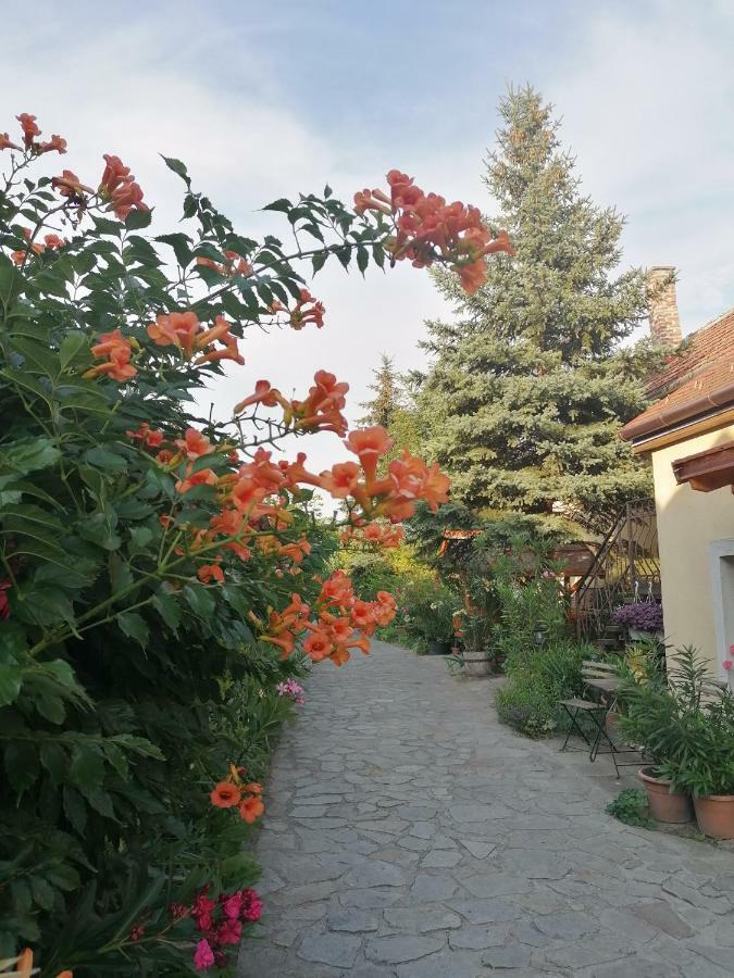 Szentesi Panzio Bed & Breakfast Fertőrákos Dış mekan fotoğraf