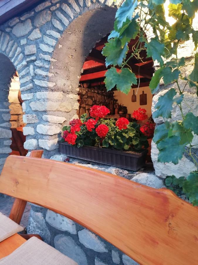 Szentesi Panzio Bed & Breakfast Fertőrákos Dış mekan fotoğraf
