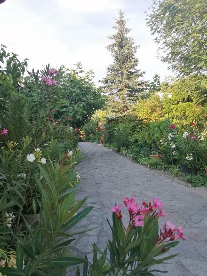 Szentesi Panzio Bed & Breakfast Fertőrákos Dış mekan fotoğraf