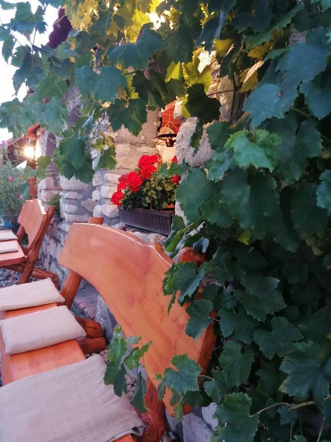 Szentesi Panzio Bed & Breakfast Fertőrákos Dış mekan fotoğraf